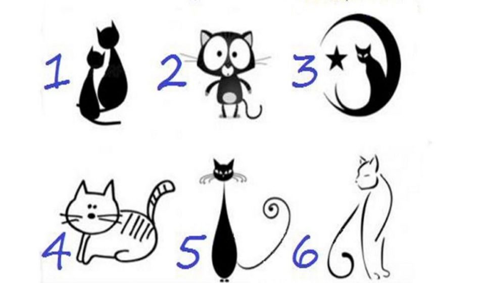 ¿Qué gato elegís?: el test psicológico que mide el poder de tu intuición