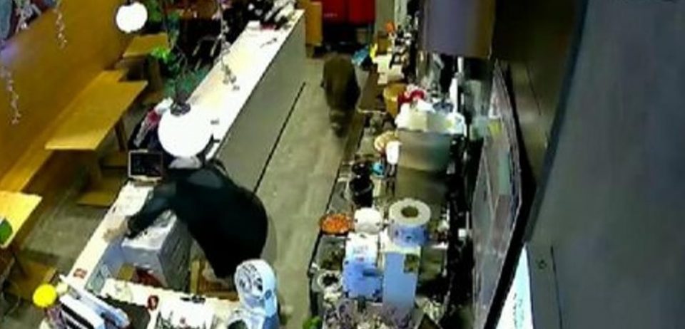 Un jabalí se metió en un local y provocó una hecatombe que se volvió viral