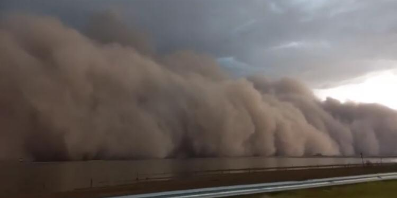Video: un tornado azotó a La Pampa y arrasó varios árboles y techos