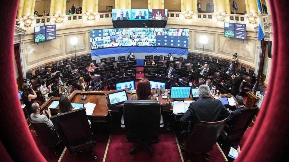 El Senado aprobó la ley del aborto