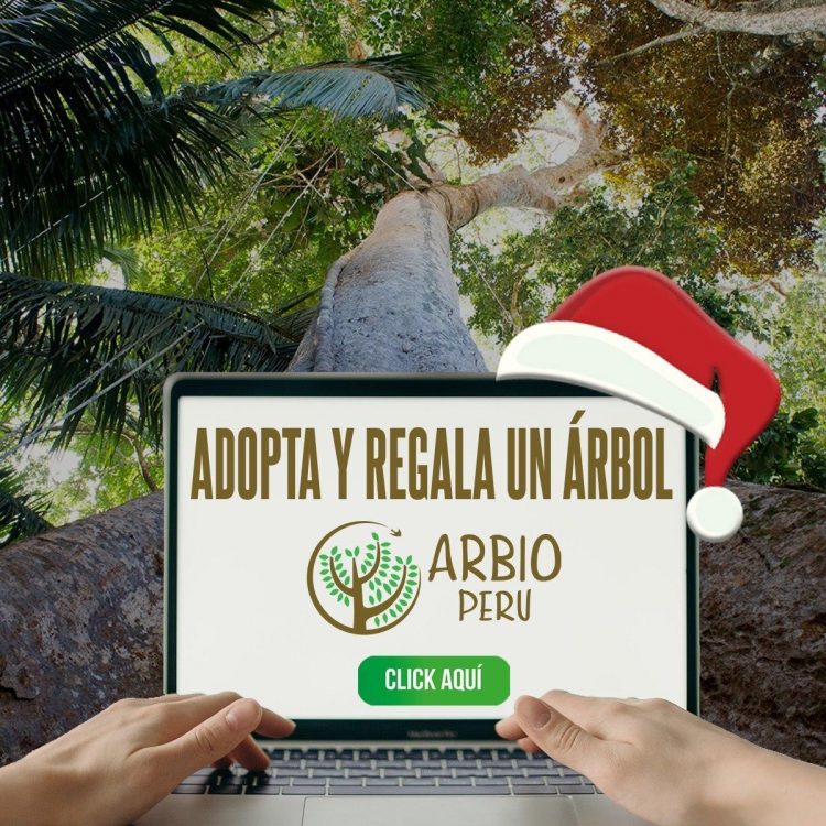 Este es el regalo perfecto para Navidad: no contamina, no se gasta y da vida