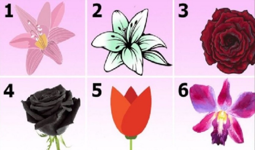 ¿Qué flor elegís?: el test psicológico que se meterá en lo más profundo de tus pensamientos