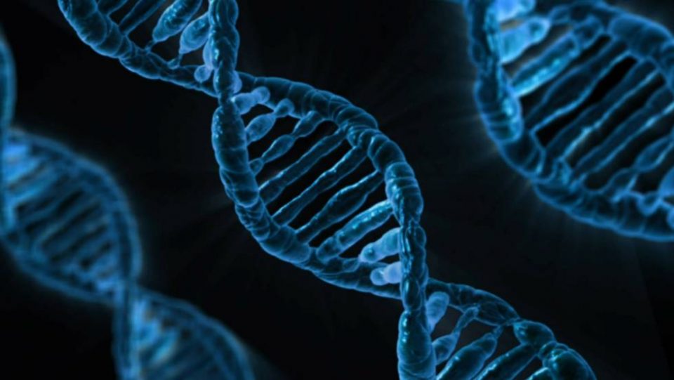 Mellizos de padres diferentes: el raro caso genético que no deja de asombrar