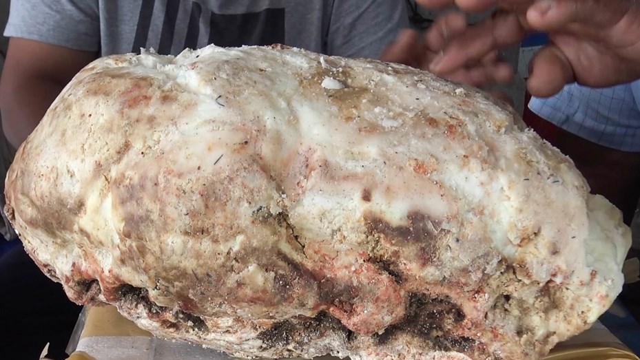 Pensó que era una roca y se volvió rico: era vómito de cachalote