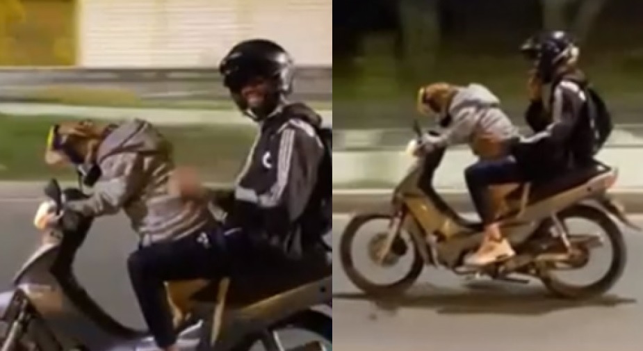 Un perro “condujo” una moto por la autopista (y hay video)