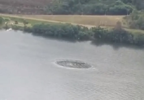 Captaron la formación de un espeluznante “círculo” en un río (y hay video)