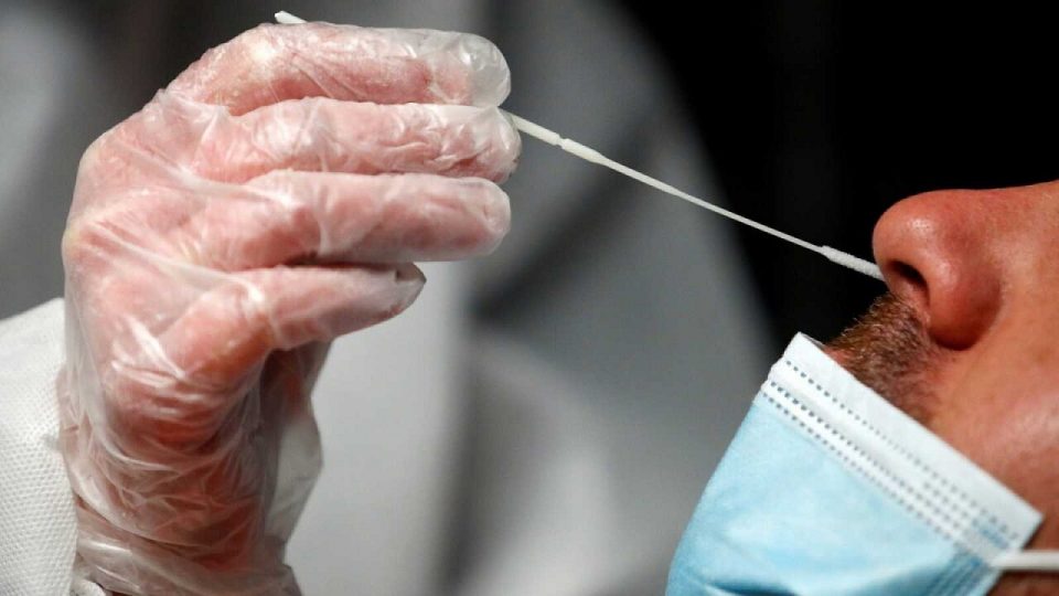 Descubrieron una nueva cepa de coronavirus capaz de “evadir” testeos