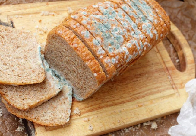 Pan con moho: por qué puede ser peligroso para la salud